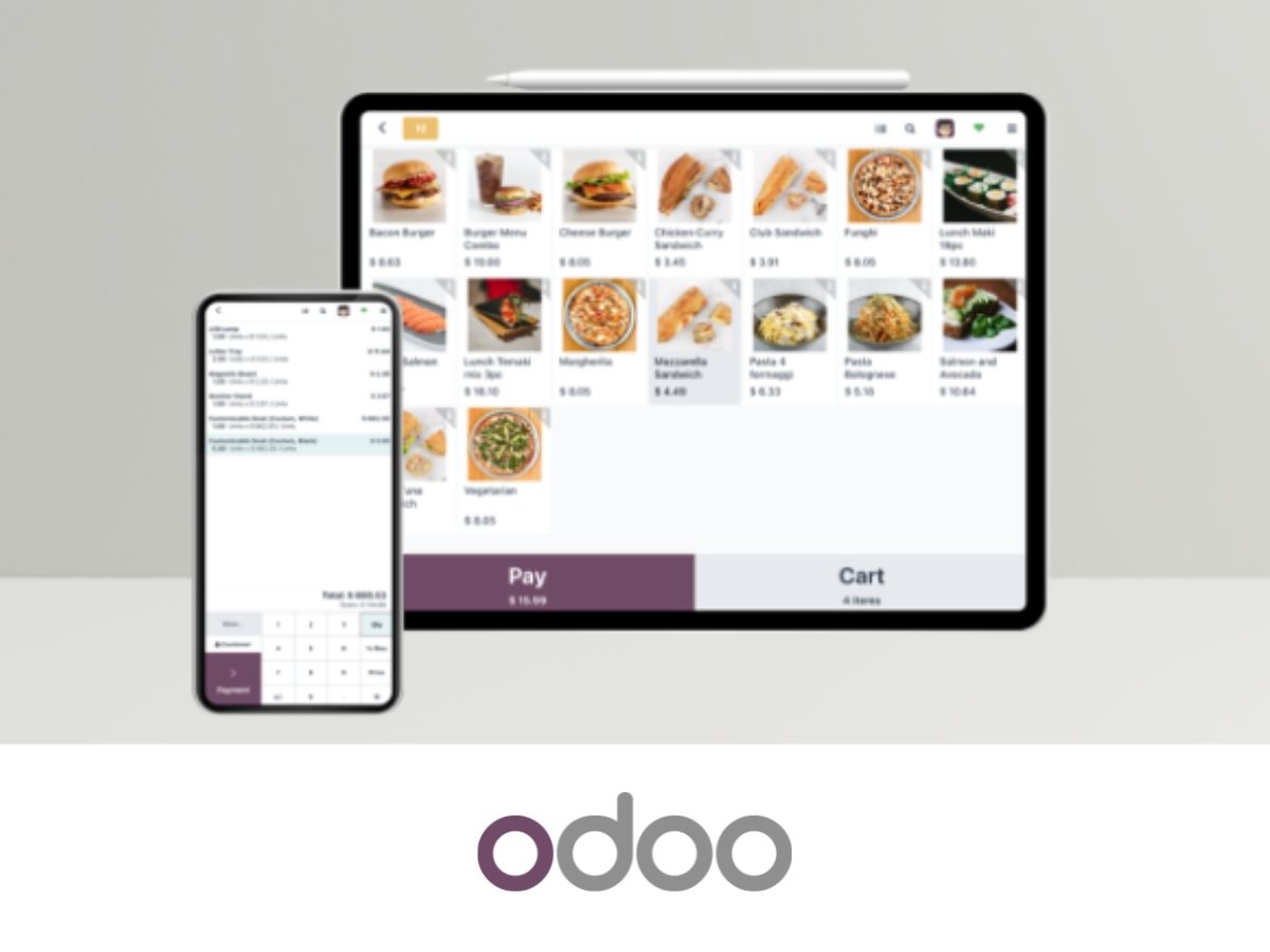 Consultores de Odoo con integraciones en Galicia (24)